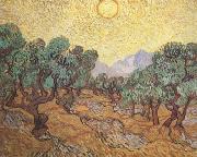 Vincent Van Gogh Olive Trees with Yellow Sky and Sun (nn04) Germany oil painting reproduction